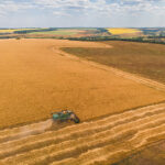 fratii paval isi consolideaza prezenta in agricultura au achizitionat terenuri agricole in tulcea si braila prin preluarea firmei dueci agro 67d826a34913a