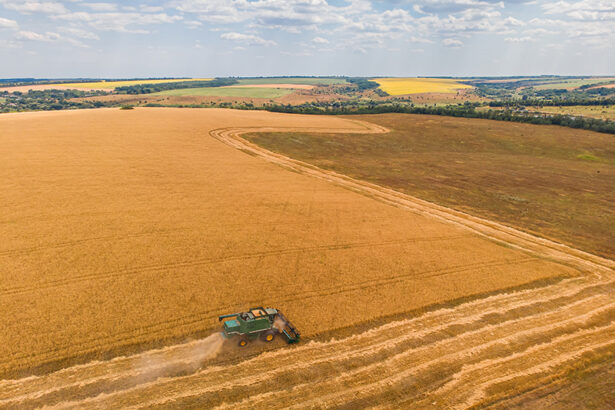 fratii paval isi consolideaza prezenta in agricultura au achizitionat terenuri agricole in tulcea si braila prin preluarea firmei dueci agro 67d826a34913a