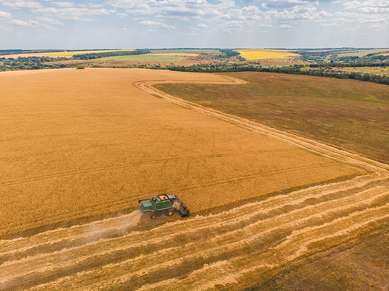 fratii paval isi consolideaza prezenta in agricultura au achizitionat terenuri agricole in tulcea si braila prin preluarea firmei dueci agro 67d826a34913a