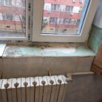 galerie foto protectia consumatorilor a descins la caminele studentesti din constanta rezultat gandaci mobilier deteriorat mucegai 67d04e154e462