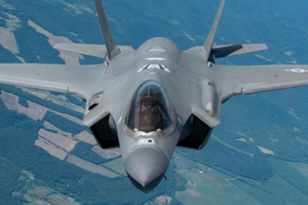 germania anunta ca nu renunta la achizitionarea avioanelor de lupta americane f 35 mentinem proiectul 67dd83bc22c58