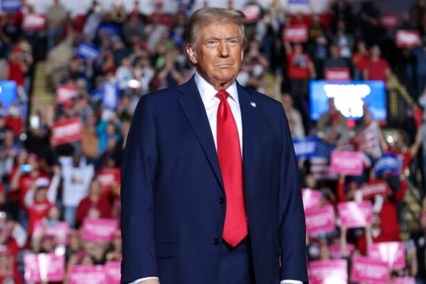 grafice ce impact ar avea asupra europei tarifele cu care ameninta trump calculele economistilor 67e23e99092af