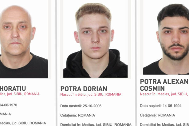 in ce conditii poate fi adus horatiu potra din dubai in lipsa unui tratat de extradare explicatia lui catalin predoiu 67c5c5eb41ce5