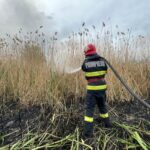 incendiu de vegetatie intre venus si saturn doua autospeciale de stingere au intervenit la fata locului 67d5417b5046a