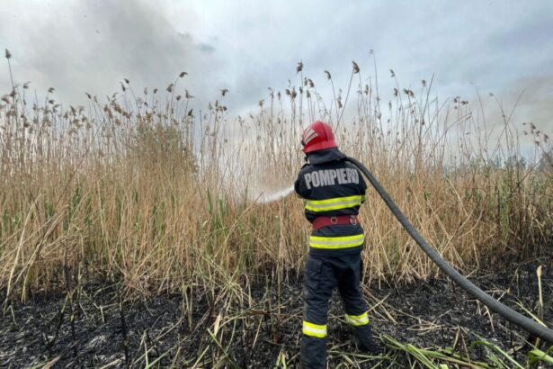 incendiu de vegetatie intre venus si saturn doua autospeciale de stingere au intervenit la fata locului 67d5417b5046a