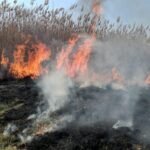 incendiu langa parcul national grindul lupilor din tulcea 67c56ed8859dc