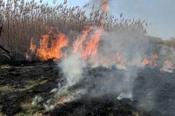 incendiu langa parcul national grindul lupilor din tulcea 67c56ed8859dc