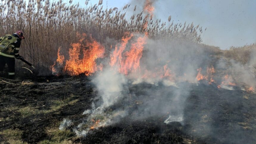 incendiu langa parcul national grindul lupilor din tulcea 67c56ed8859dc