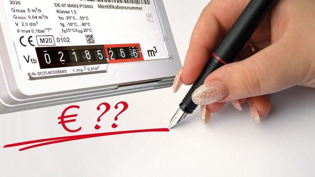 inlesnire pentru furnizorii de energie si gaze in oug ul de prelungire a plafonarii procentul de costuri cu dezechilibrele acceptat la compensare de catre stat a fost dublat 67c2cf6a3cec0
