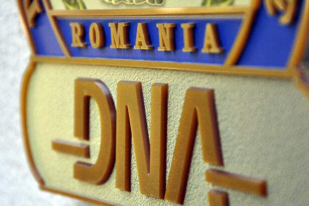 judecatorii au ramas in pronuntare in cazul lui stefan ilie primarul din tulcea iata cand se va da verdictul edilul a batut palma cu dna constanta 67cbfbc659781