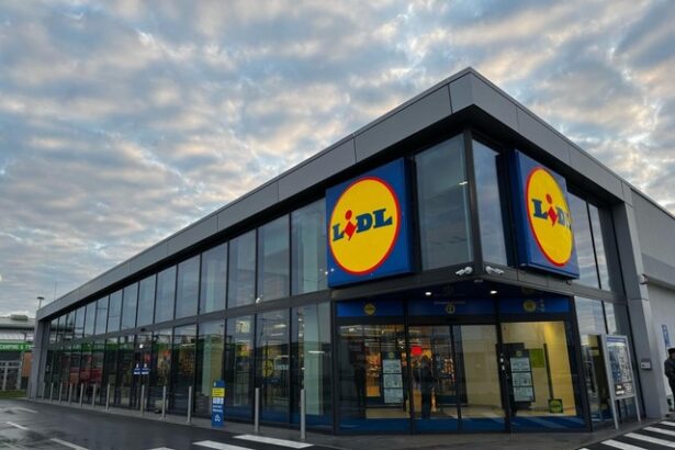 lidl continua expansiunea in romania prin deschiderea a doua noi magazine in iasi si in comuna berceni 67e3c16177c76