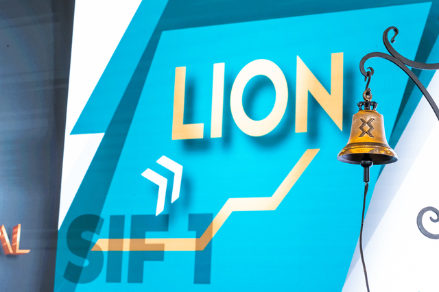 lion capital sufera un declin puternic al rezultatului total 67d90b2079f36