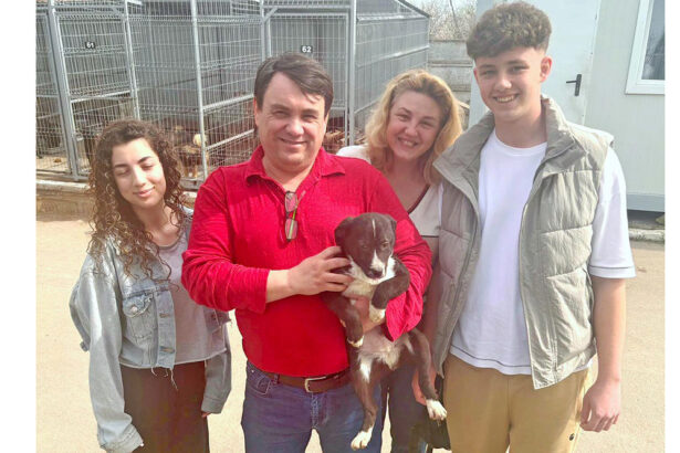 lucky si a gasit drumul acasa puiutul de la adapostul din constanta a fost adoptat 67e2f1eb5ab2f
