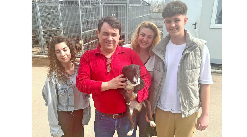 lucky si a gasit drumul acasa puiutul de la adapostul din constanta a fost adoptat 67e2f1eb5ab2f