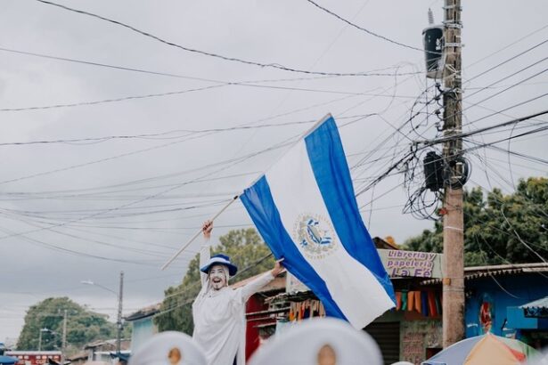 marele experiment cripto a esuat cum s a incheiat utopia statului el salvador 67d2b33d35452