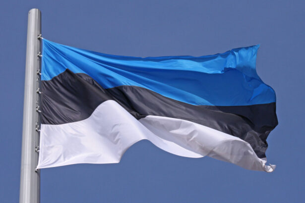masura dura luata de parlamentarii din estonia minoritatea rusa ar putea ramane fara drept de vot 67e46cbb66bcf