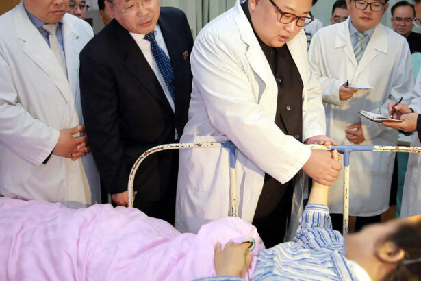 medici nord coreeni se vor pregati la spitale din moscova si vor impartasi la schimb secretele medicinei nationale 67e414303552b