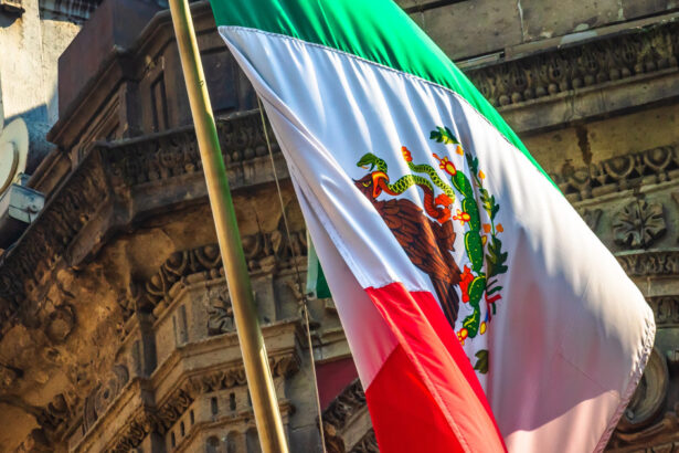 mexicul adopta o noua reforma a constitutiei ca raspuns la o decizie a lui trump nu vom accepta interventii sau ingerinte 67d1365ad0517