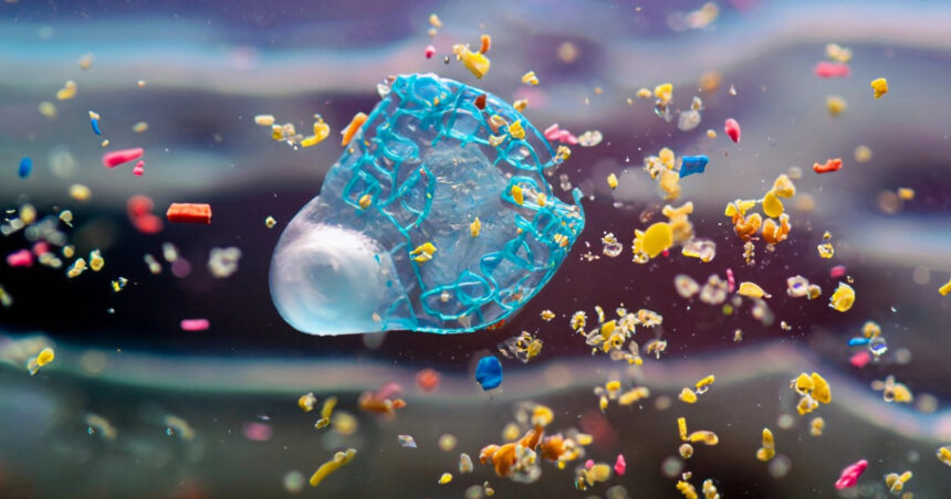microplasticele impiedica fotosinteza plantelor potrivit unui nou studiu milioane de oameni in pericol de foamete 67cf5bc1c6c9c
