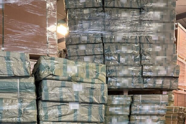 mii de produse susceptibile a fi contrafacute in valoare de aproximativ 3 8 milioane lei descoperite de politistii de frontiera constanteni 67cacf533bff8