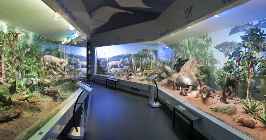 muzeul antipa acces gratuit de 8 martie in expunerea permanenta pentru doamne si domnisoare 67cac58c057c5