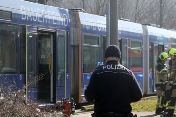 o femeie a fost incendiata intr un tramvai din germania atacatorul a fugit 67d713d36cb9d