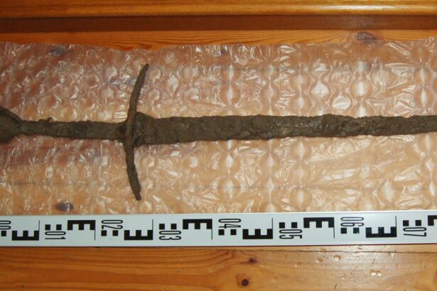o sabie rara din secolul al xiv lea gasita de arheologi amatori in polonia 67cf08862e126