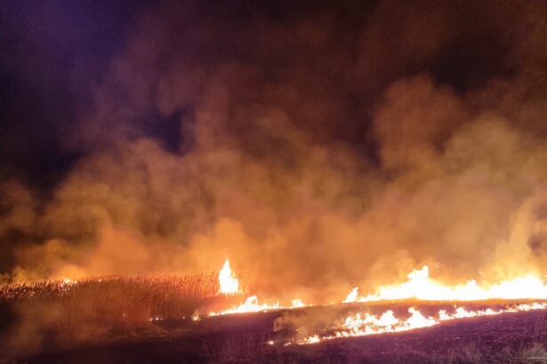 pompierii intervin la un incendiu izbucnit in istria langa cetate 67d09d94b08c8