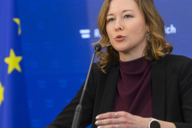 premiera in ue austria va suspenda regruparea familiala a refugiatilor cum motiveaza viena decizia 67e434c027b6e