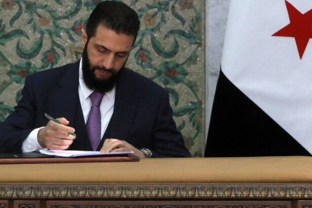 presedintele interimar al siriei a semnat noua declaratie constitutionala a tarii ce promit noile autoritati 67d2f4e2b3c83