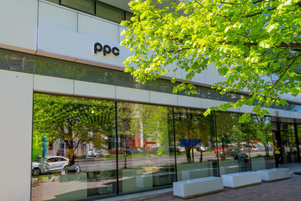 profitul net al grupului grec ppc a scazut cu peste 62 anul trecut inclusiv din cauza disparitiei efectului pozitiv din 2023 al achizitiei enel romania la pret avantajos 67e45505696fd