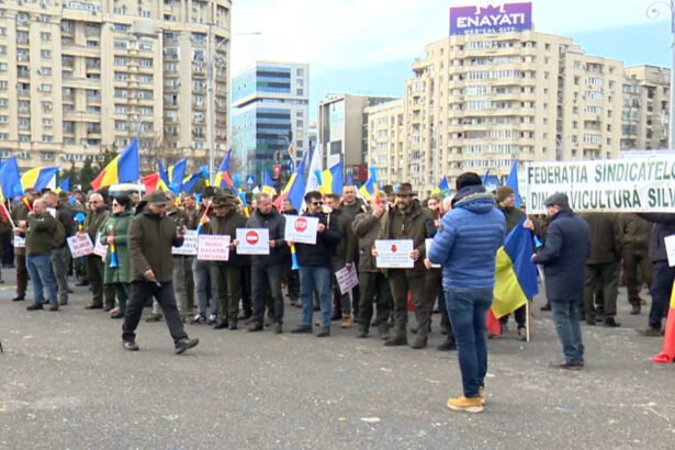 protest in piata victoriei silvicultorii ameninta cu greva generala daca nu le sunt solutionate revendicarile care sunt cerintele lor 67da938769f98