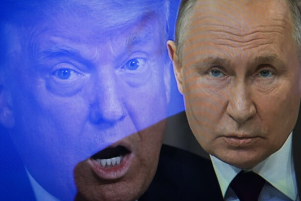 putin i a trimis un mesaj lui donald trump prin emisarul special al liderului american cu care s a intalnit la moscova 67d41883bd9ce