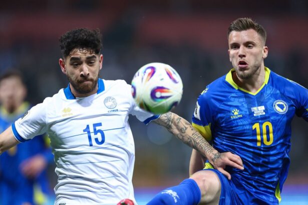 reactia lui ermedin demirovic dupa ce bosnia s a cocotat pe primul loc in grupa romaniei 67e1e18025e26