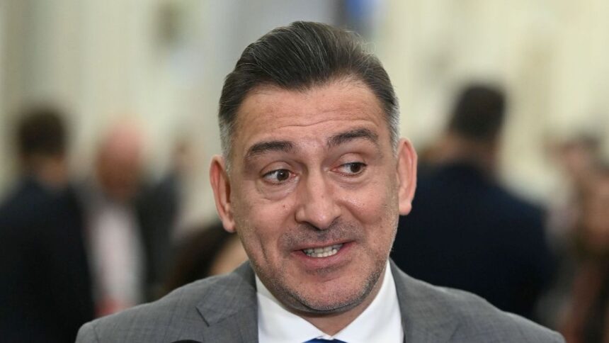 remarcatul lui ilie dumitrescu dupa romania bosnia foarte inteligent 67ded51b3c069