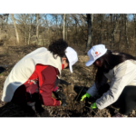 rompetrol isi reafirma angajamentul pentru mediu si cultura printr o noua actiune de impadurire 67e16bdf3cae2