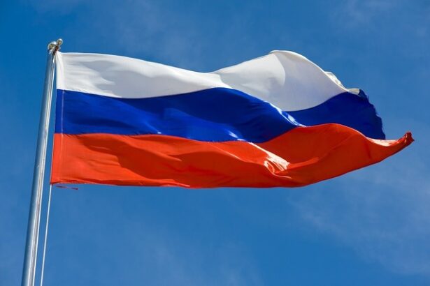 rusia cea mai ridicata inflatie din ultimii doi ani 67d1e099ea280