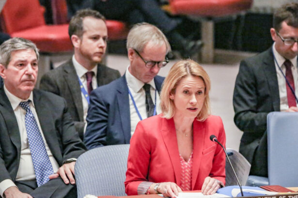 sefa diplomatiei ue a denuntat la onu incalcarile dreptului international in lume vedem incercari de a l inlocui prin domnia fortei 67d07212717ee
