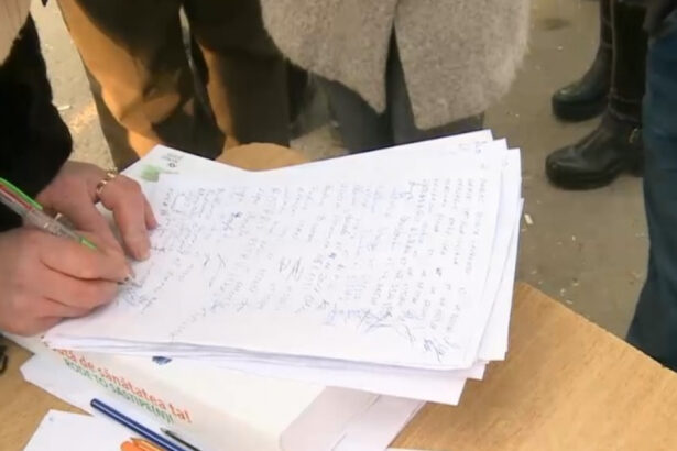 solicitare bizara a sefei psdu a cerut membrilor bec sa bage la congelator listele ei cu semnaturi pentru prezidentiale 67dc2faf21305