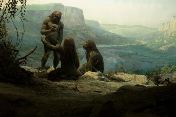 test de cultura generala cand a aparut homo sapiens 67cb14784d6c8