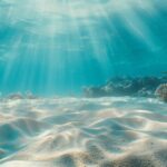 Test de cultură generală: Care este cel mai mare pește din ocean? 3 test de cultura generala care este cel mai mare peste din ocean 67cec2183ca53