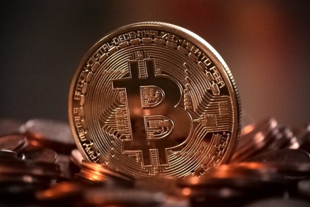 test in rusia bogatii sa investeasca in criptomonede de proba 67d1b260a6cac