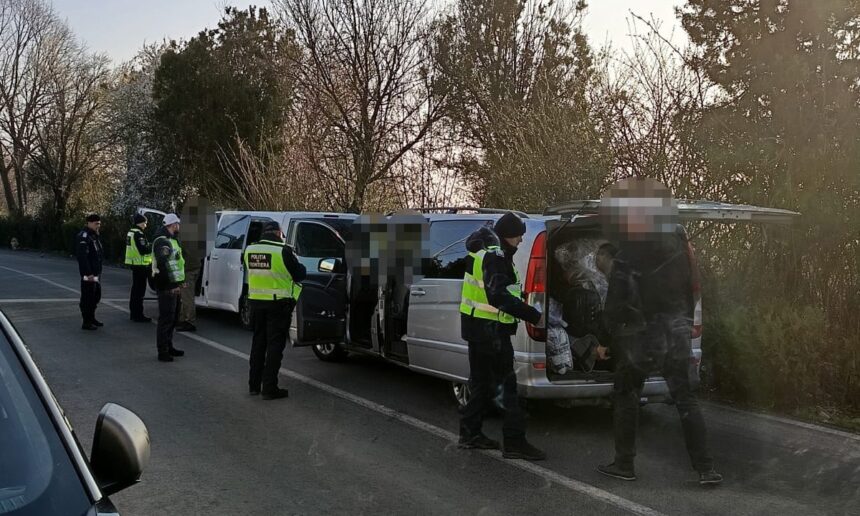 tigari din bulgaria si bunuri contrafacute confiscate de politistii din constanta 67e141901b38d