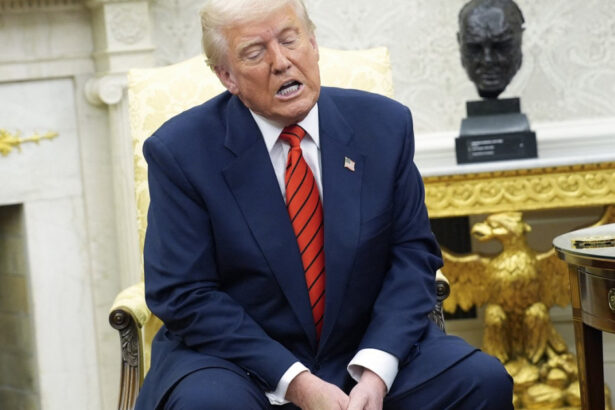 trump spune ca are o influenta asupra rusiei dar ca nu vrea s o foloseasca acum ce spune despre declaratiile lui putin privind pacea 67d345b3e6af0