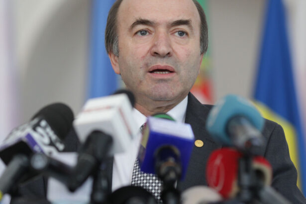 tudorel toader judecatorii ccr vor tine seama de cercetarea penala in cazul candidaturii lui calin georgescu 67c87b0330a01