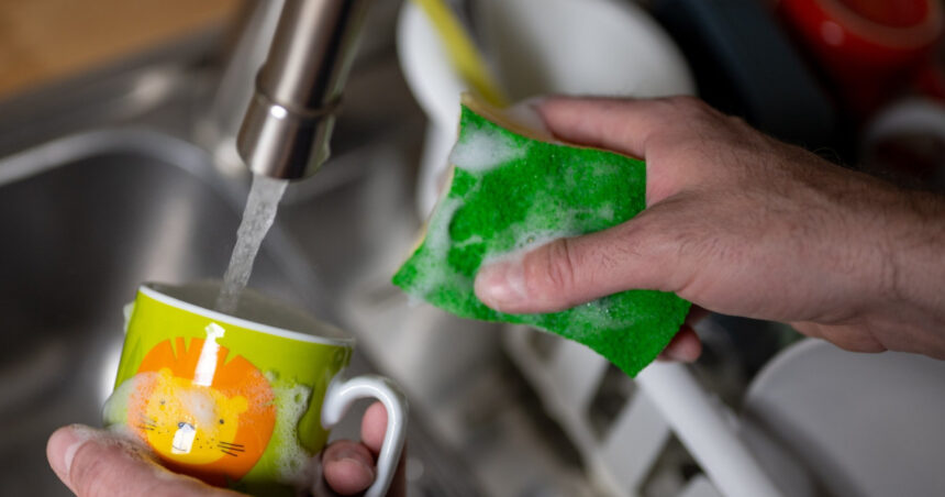 un burete de bucatarie are tot atatea bacterii cat un scaun uman cand ar trebui sa il schimbi 67e1691278aa1