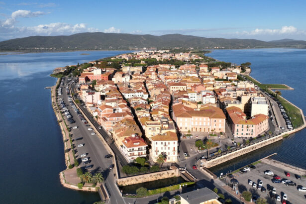 un oras din toscana vrea sa declare stare de urgenta din cauza tantarilor suntem izolati in case asa cum am fost in pandemie 67de9d2908551