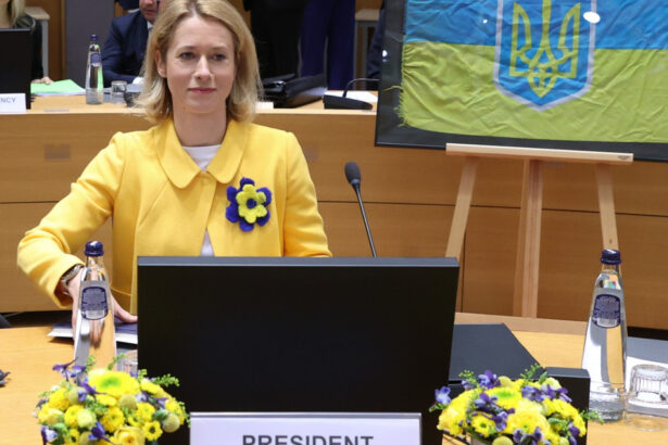 uniunea europeana considera ca putin arata ca n are niciun interes pentru pace 67cc8360ab380
