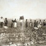 uratenia interzisa in america secolelor xix si xx oamenii mutilati sau deformati nu aveau voie sa iasa in public 67dd9e3a3fb03