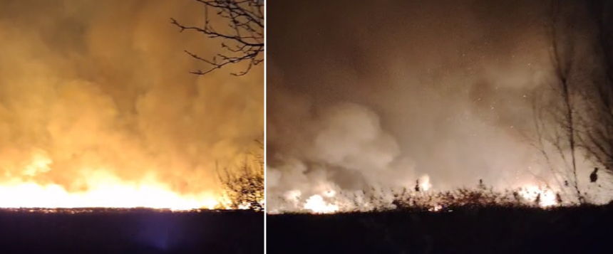 video alerta in aliman din cauza unui incendiu de vegetatie uscata intervin mai multe echipaje de pompieri 67d1ee0ecf6ae